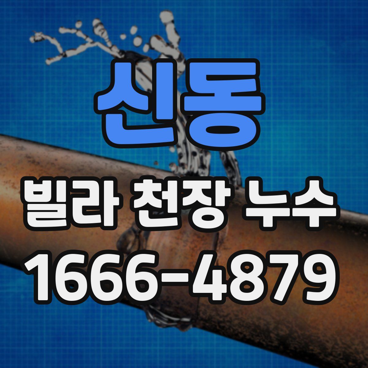 신동 빌라 천장 누수
