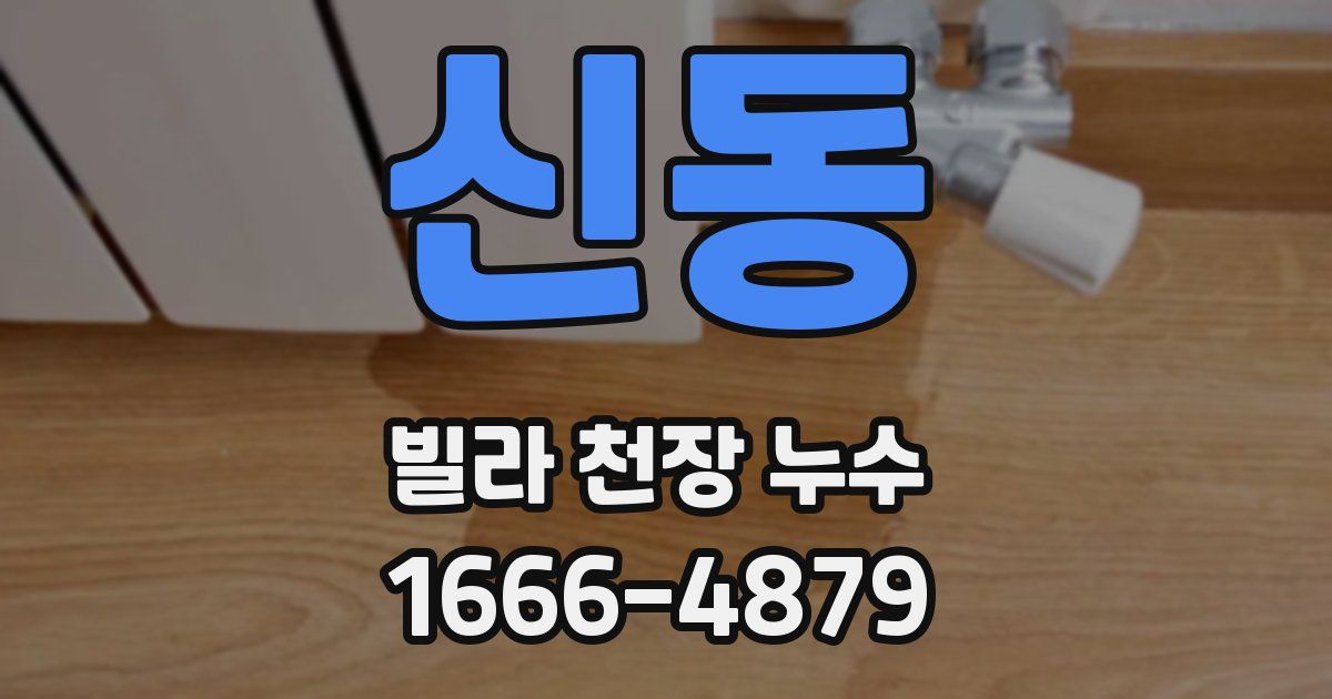 신동 빌라 천장 누수