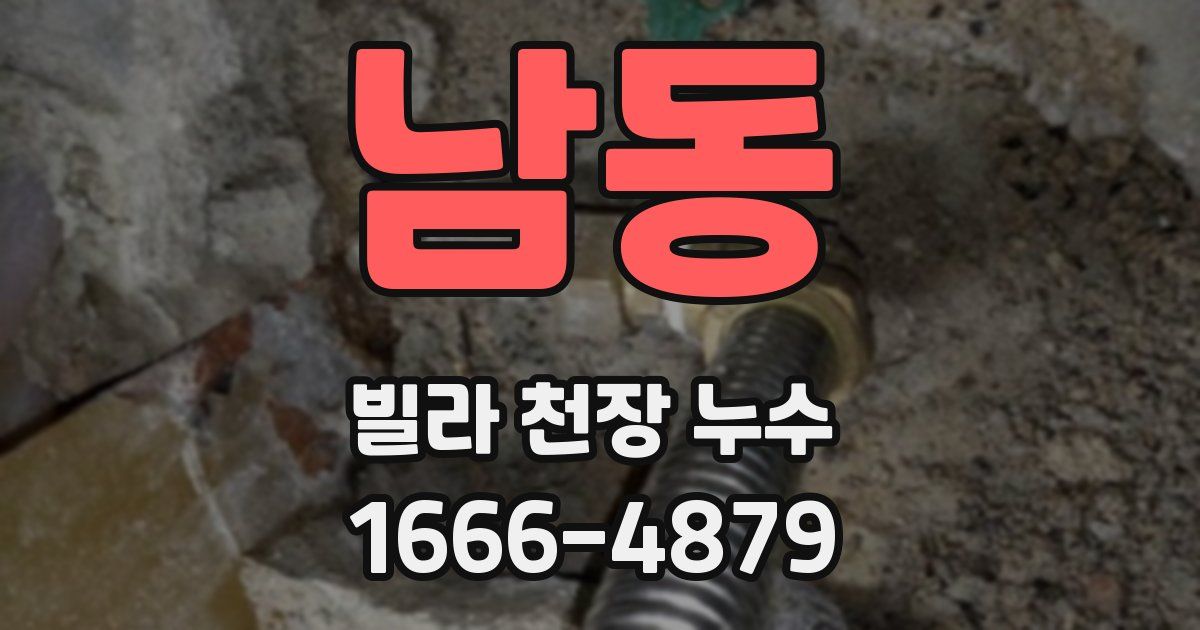 남동 빌라 천장 누수