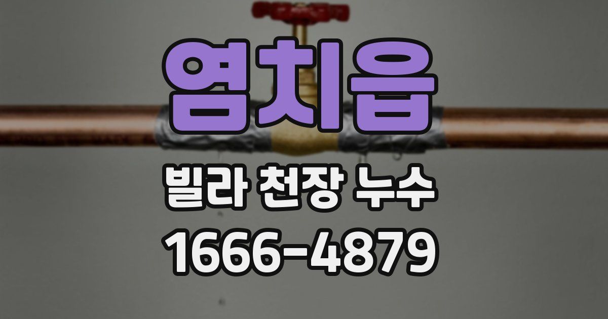 염치읍 빌라 천장 누수