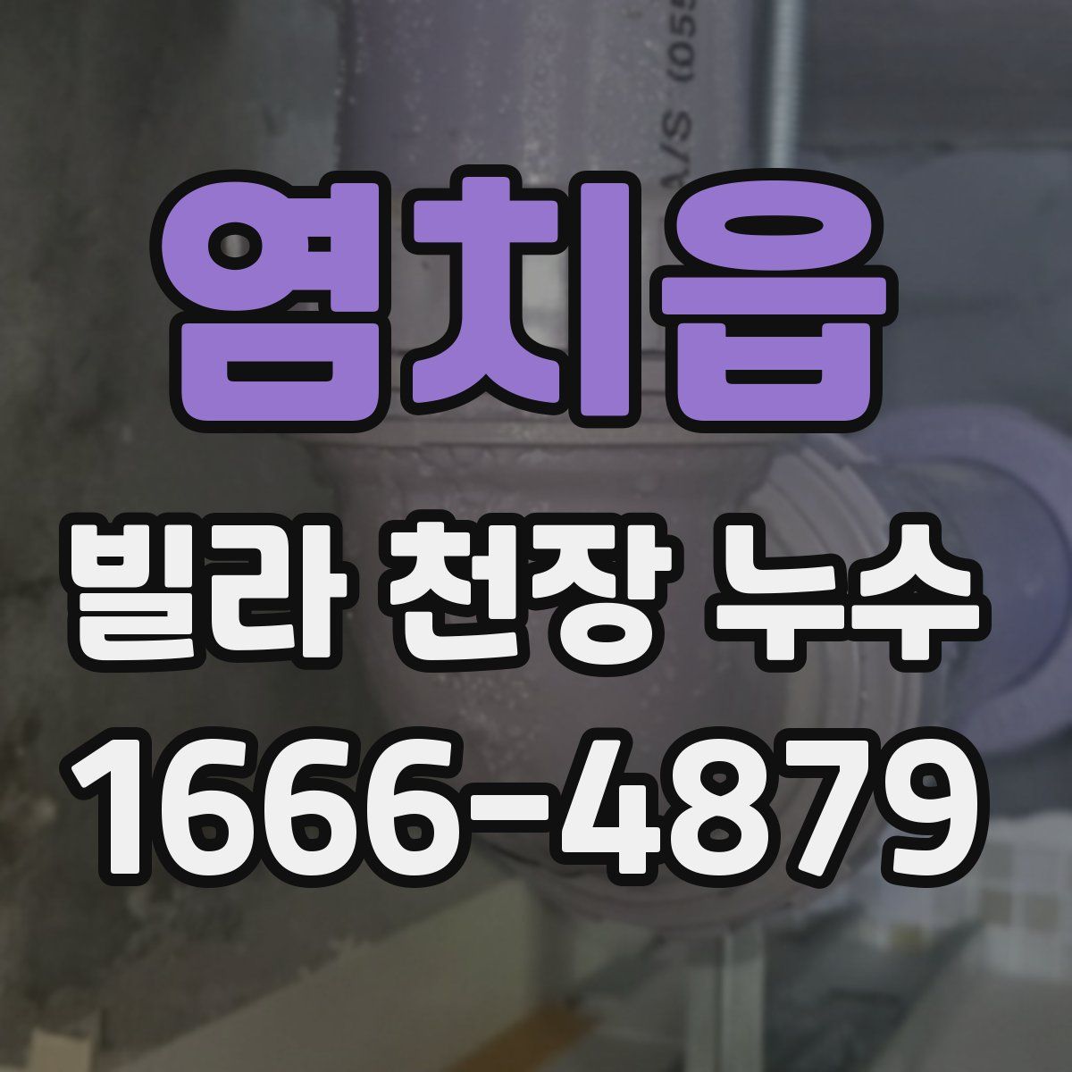 염치읍 빌라 천장 누수