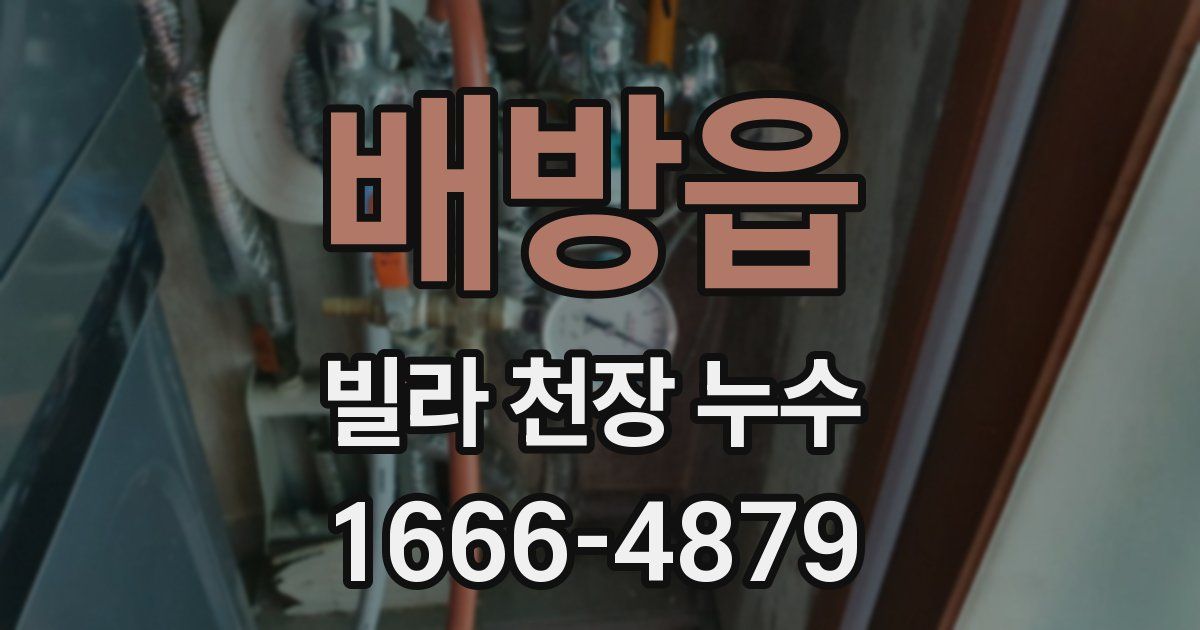 배방읍 빌라 천장 누수