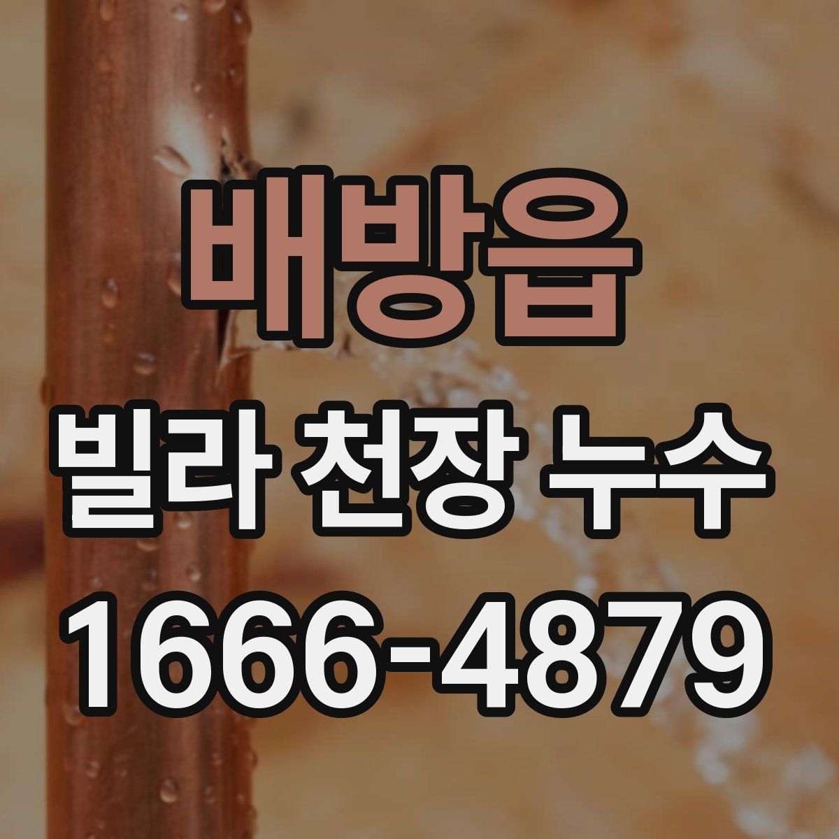 배방읍 빌라 천장 누수