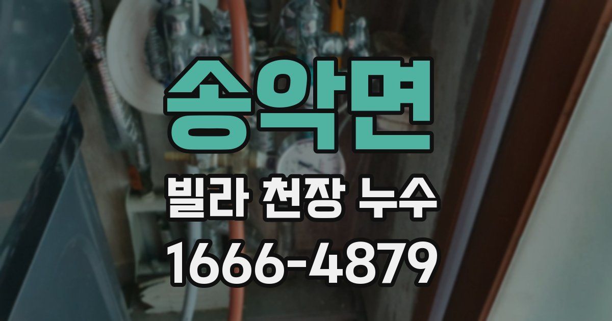 송악면 빌라 천장 누수