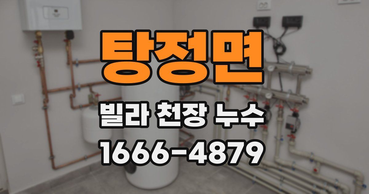 탕정면 빌라 천장 누수
