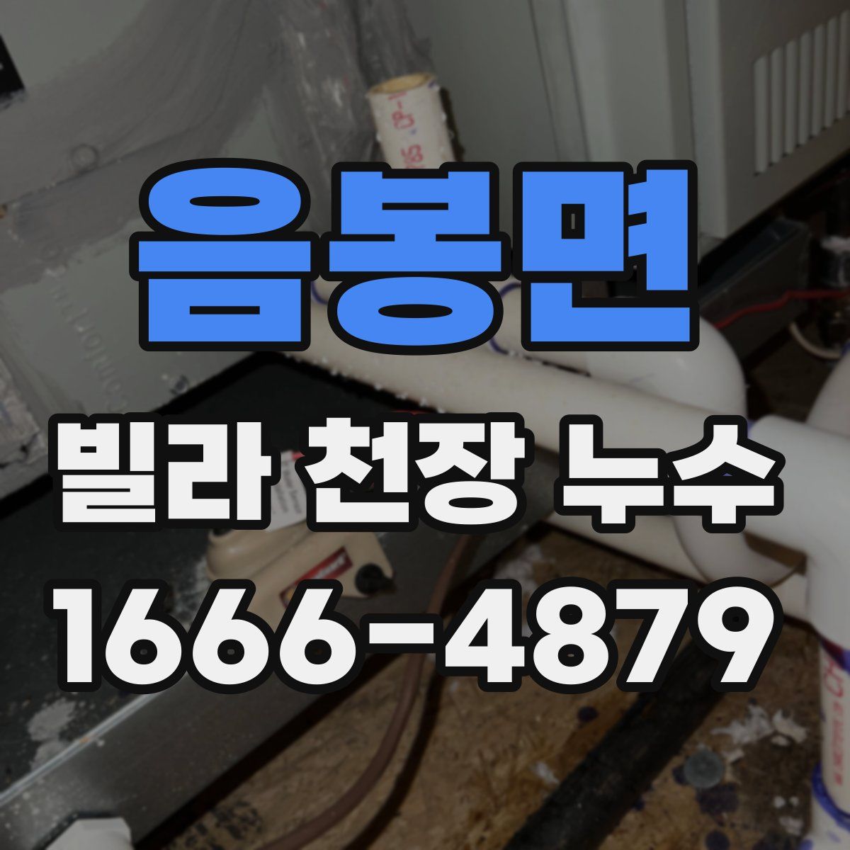 음봉면 빌라 천장 누수