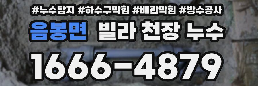 음봉면 빌라 천장 누수