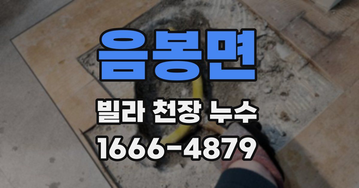 음봉면 빌라 천장 누수