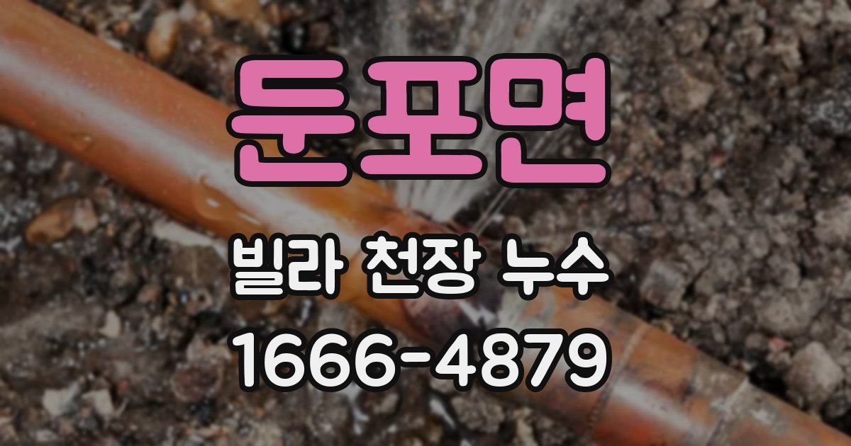 둔포면 빌라 천장 누수
