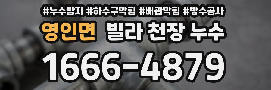 영인면 빌라 천장 누수
