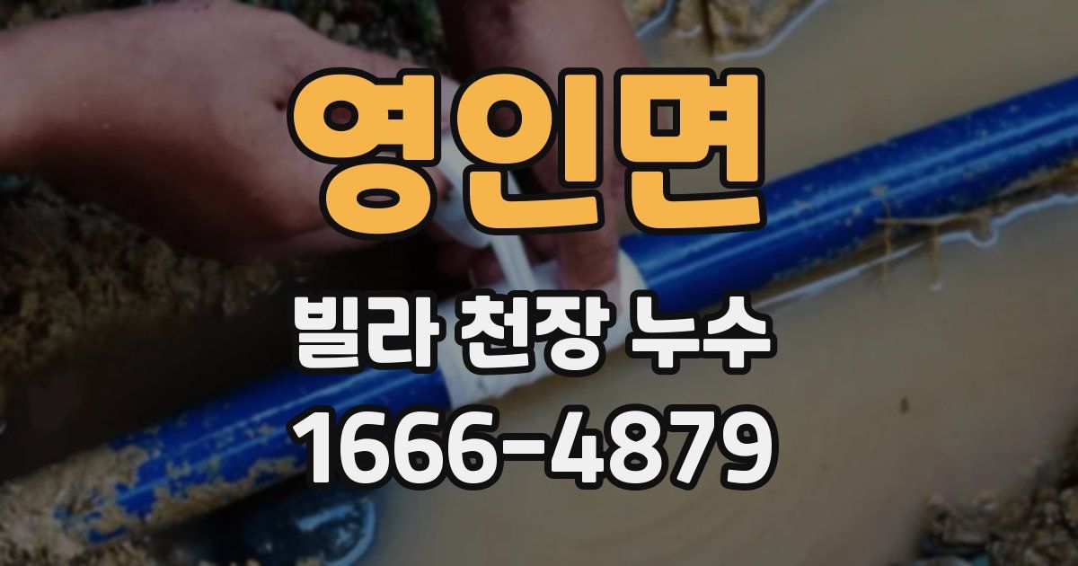 영인면 빌라 천장 누수