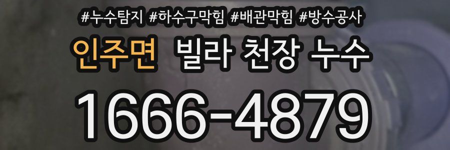 인주면 빌라 천장 누수