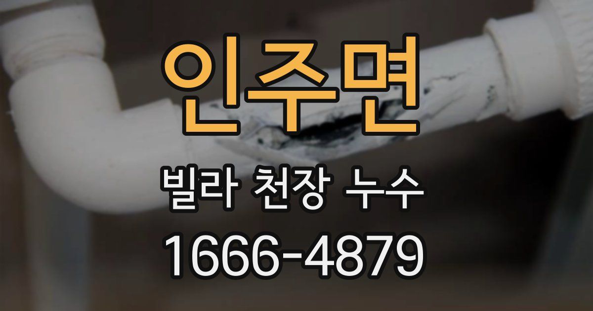 인주면 빌라 천장 누수