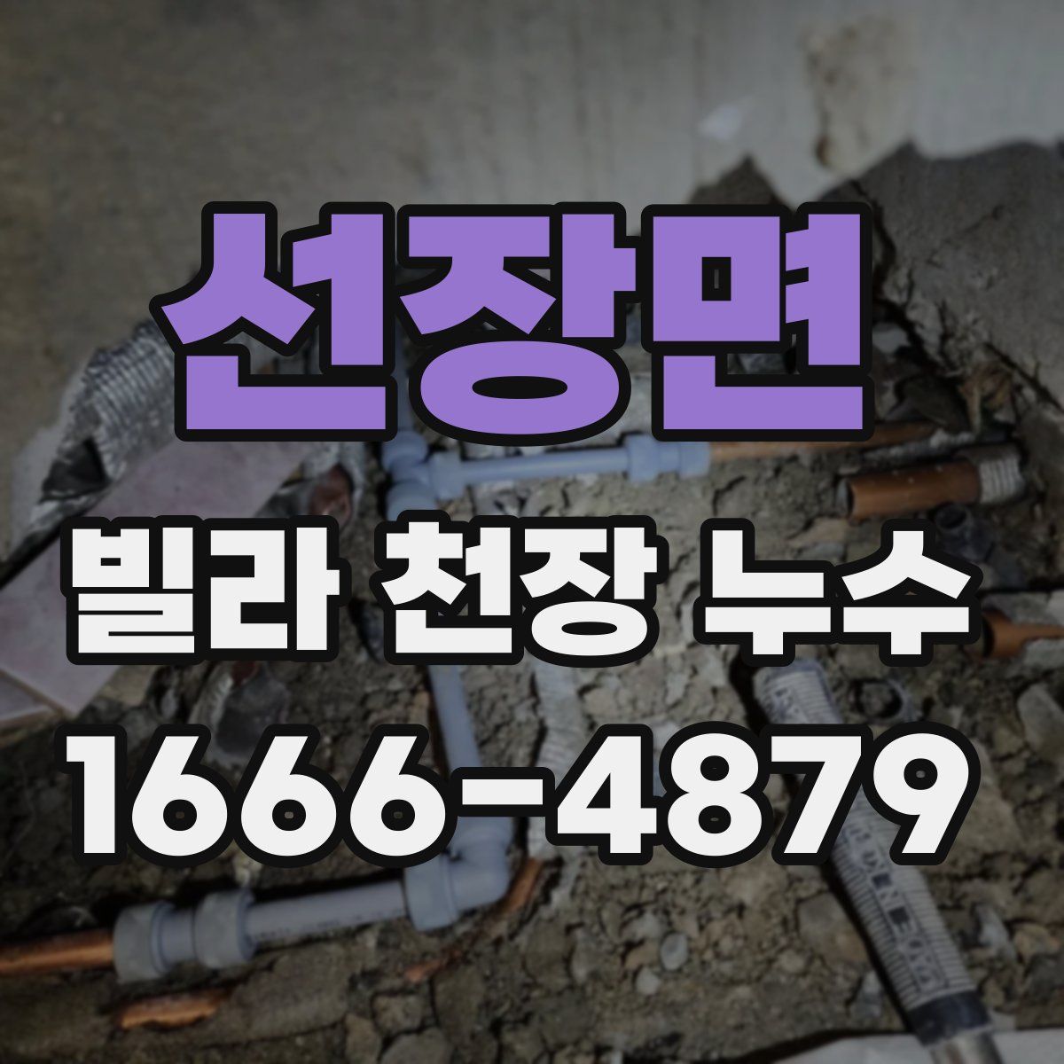 선장면 빌라 천장 누수