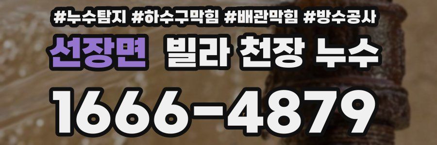 선장면 빌라 천장 누수