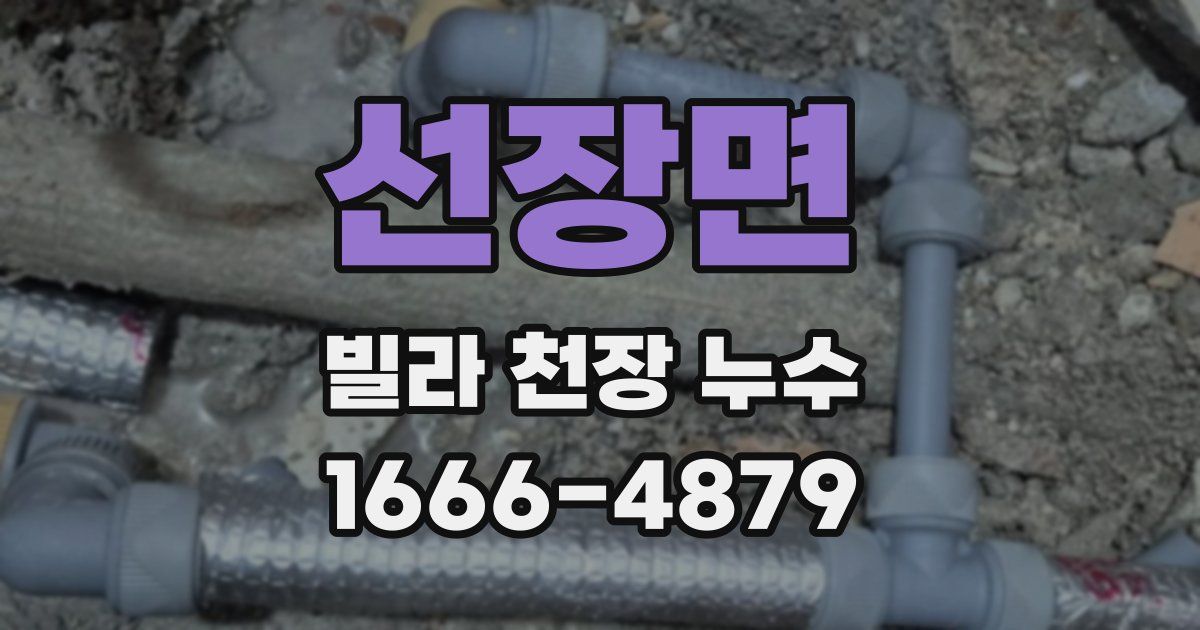 선장면 빌라 천장 누수