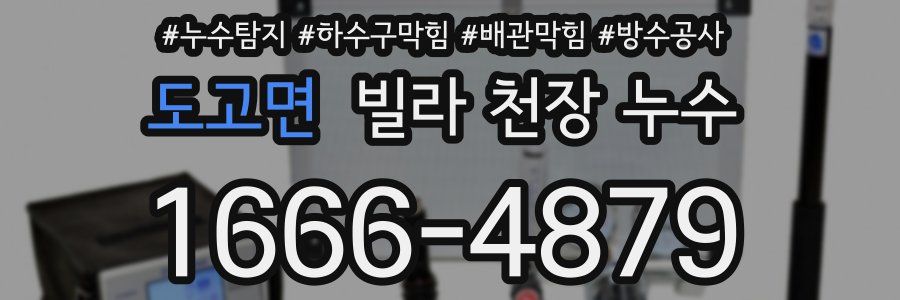 도고면 빌라 천장 누수