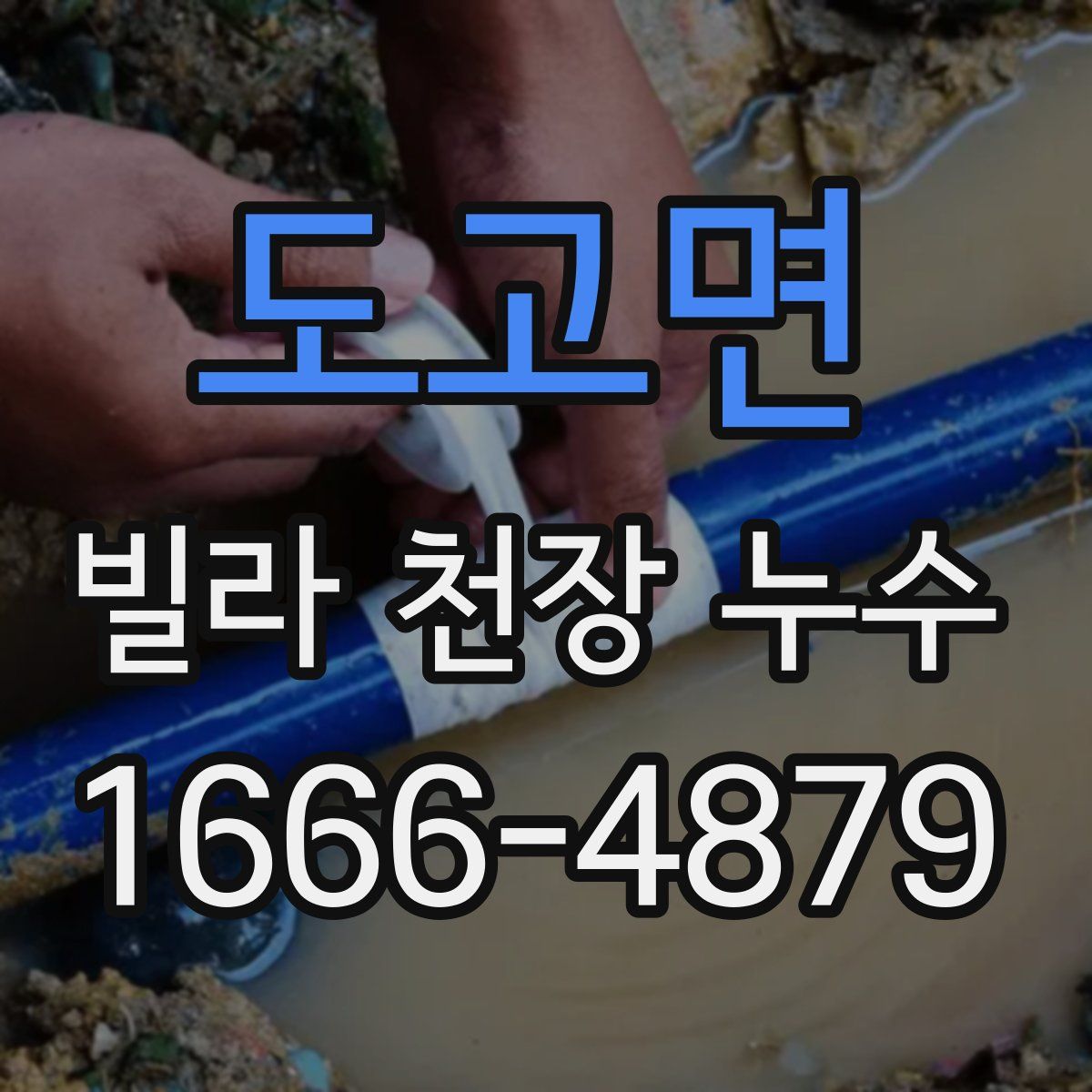 도고면 빌라 천장 누수