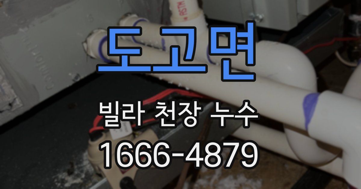 도고면 빌라 천장 누수