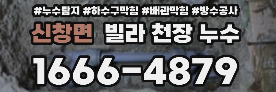 신창면 빌라 천장 누수