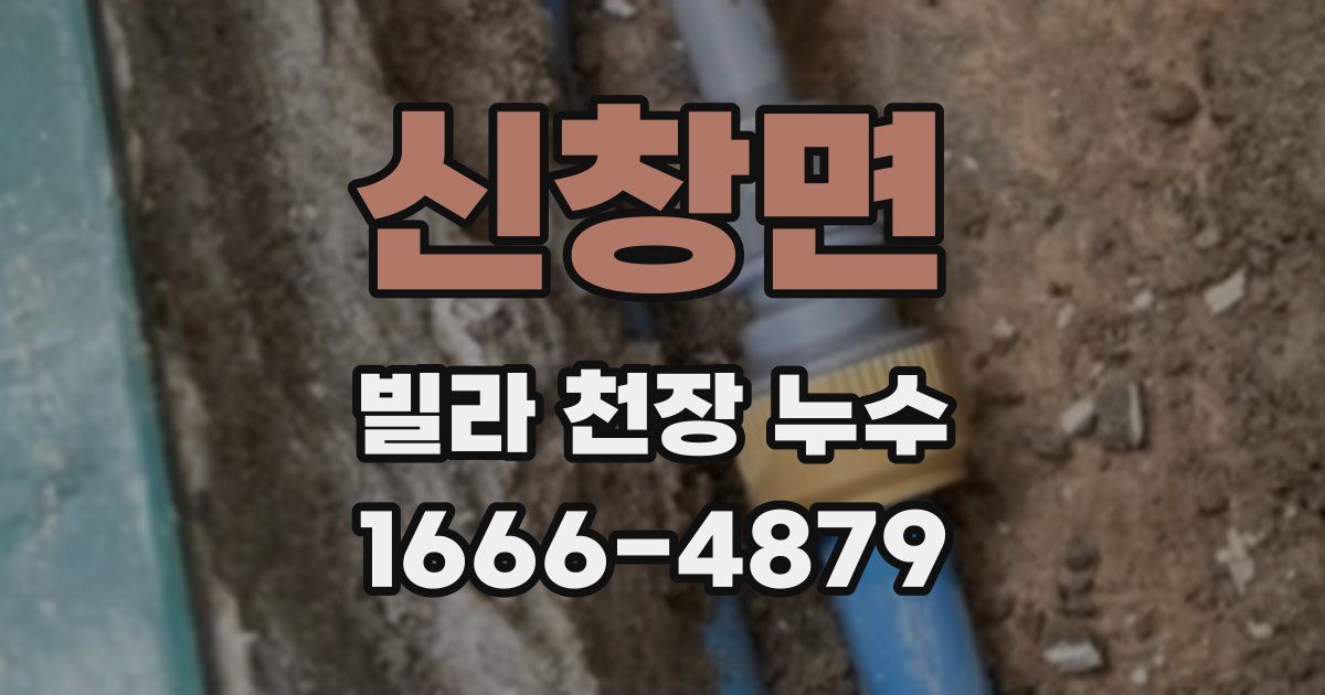 신창면 빌라 천장 누수