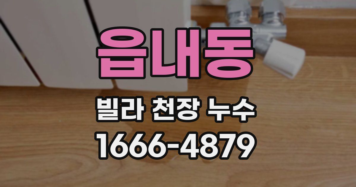 읍내동 빌라 천장 누수