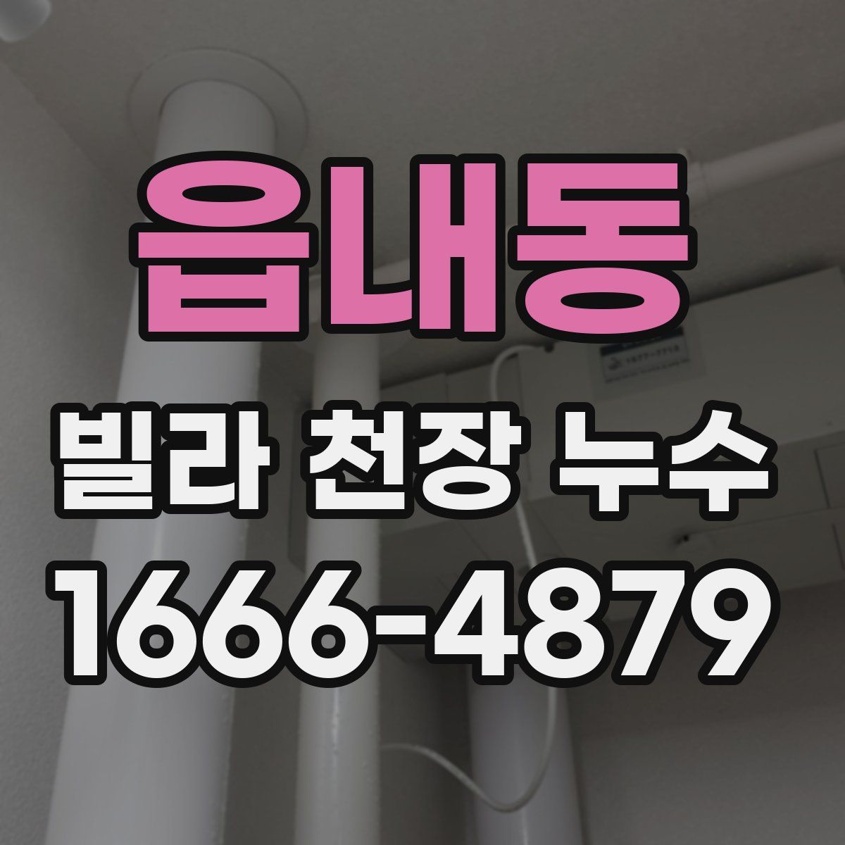 읍내동 빌라 천장 누수