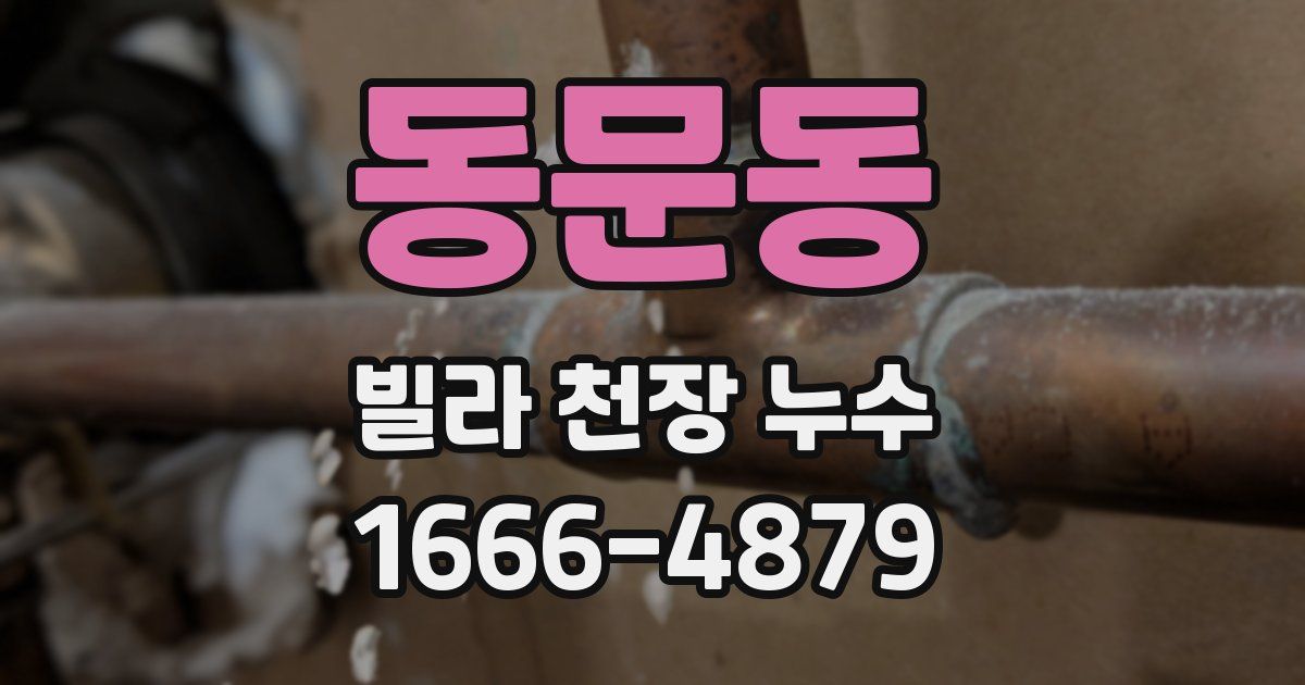 동문동 빌라 천장 누수