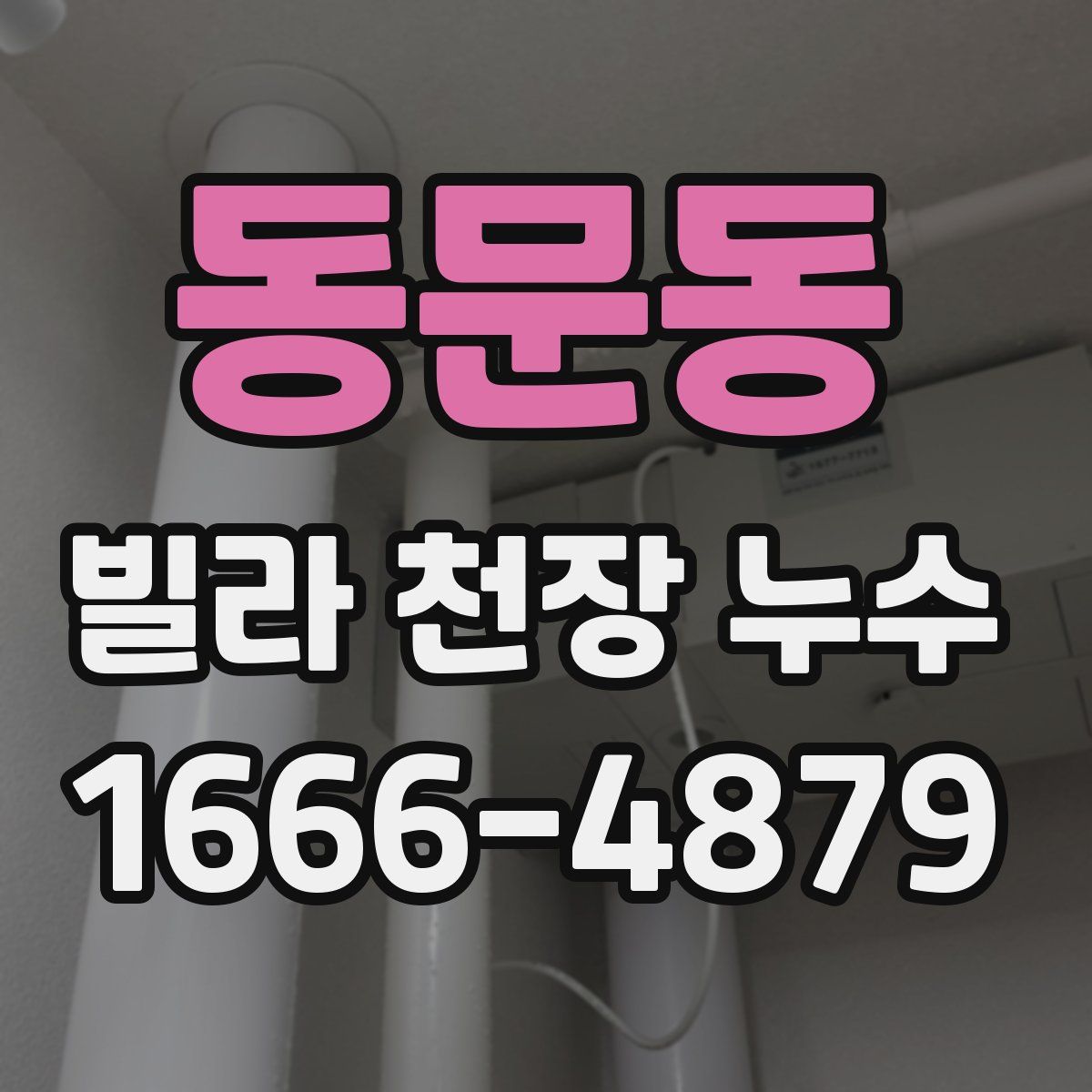 동문동 빌라 천장 누수
