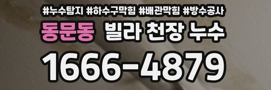 동문동 빌라 천장 누수