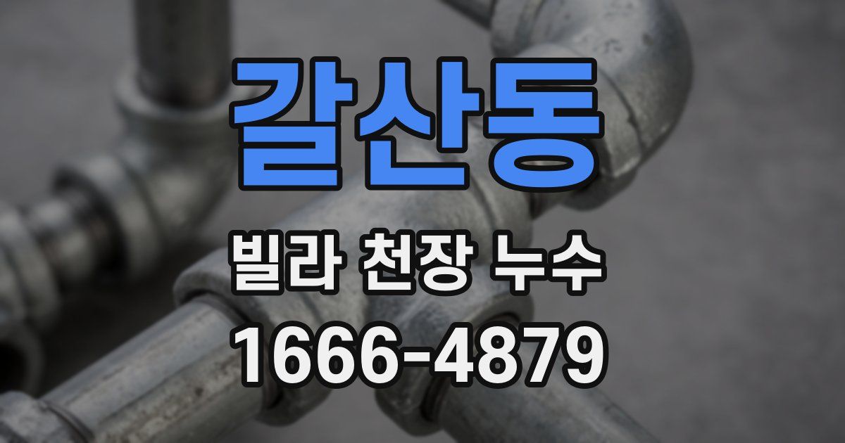 갈산동 빌라 천장 누수