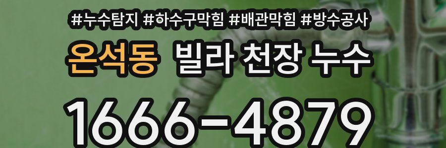 온석동 빌라 천장 누수