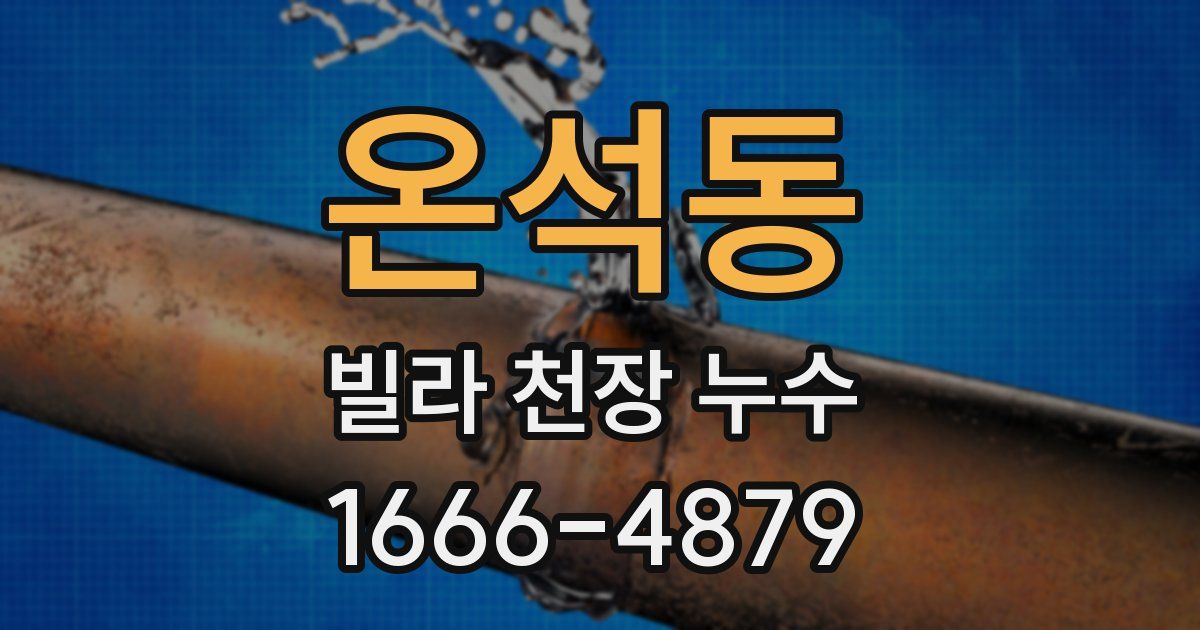온석동 빌라 천장 누수