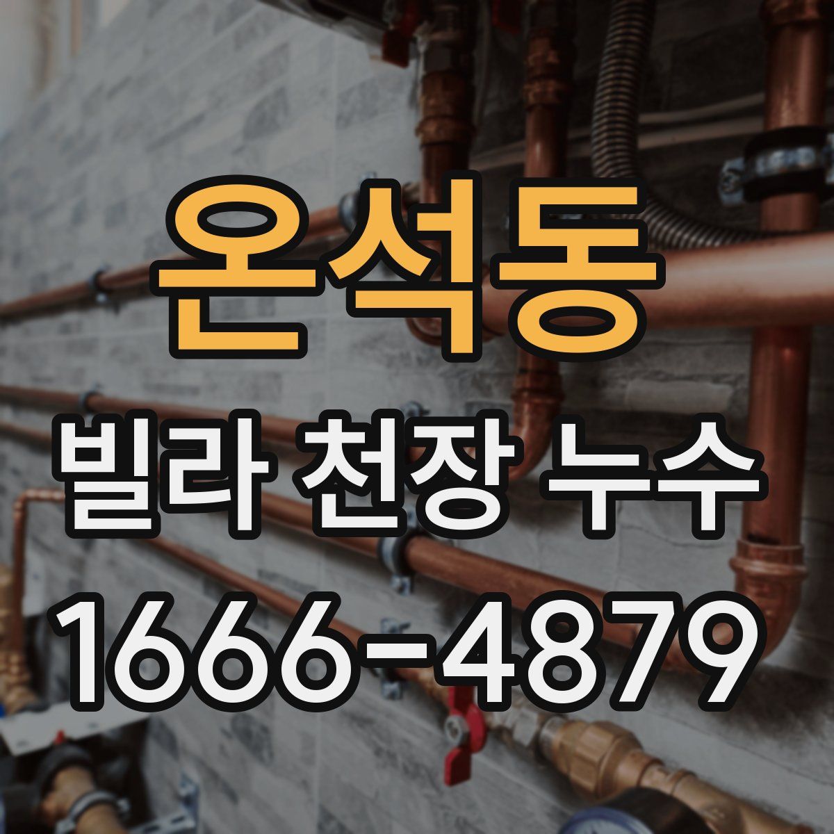 온석동 빌라 천장 누수