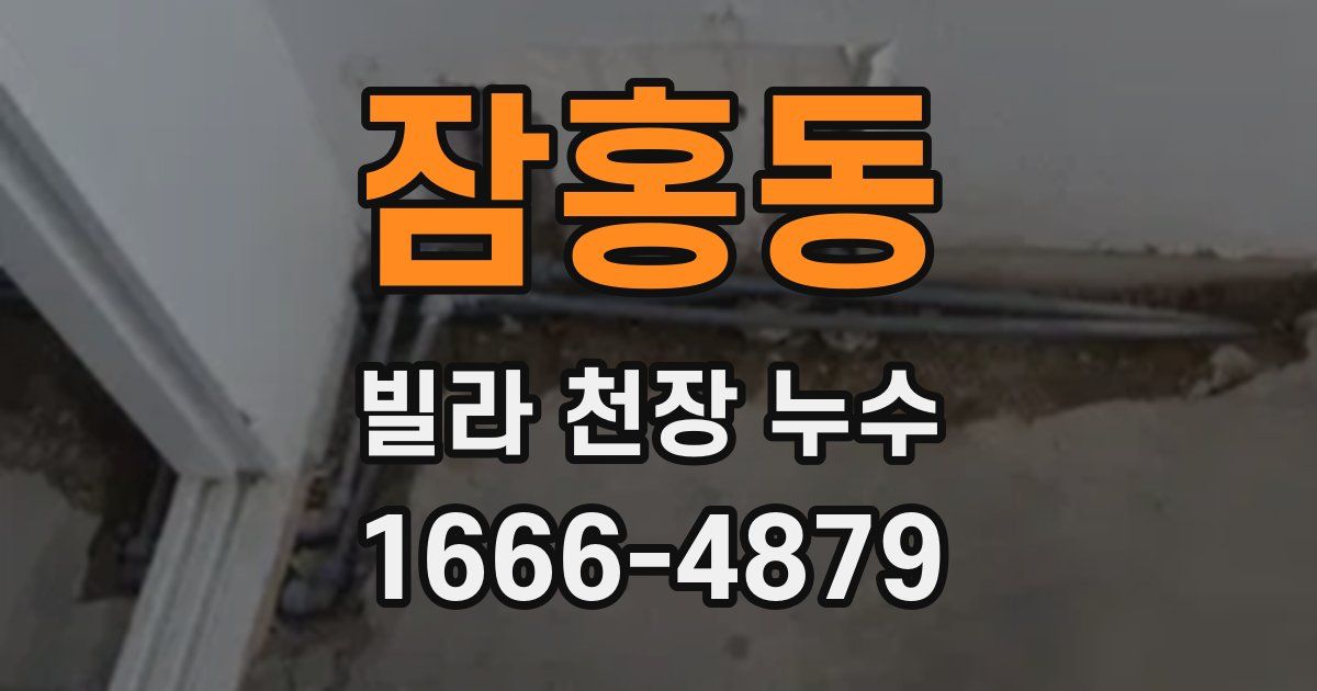 잠홍동 빌라 천장 누수