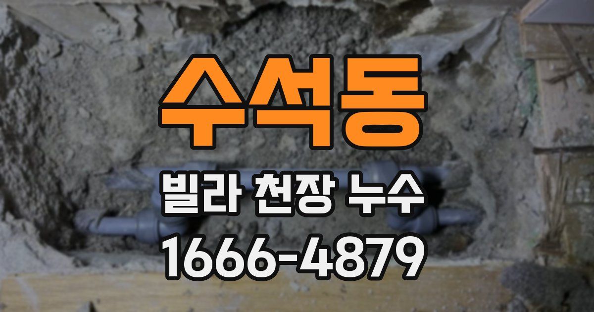 수석동 빌라 천장 누수