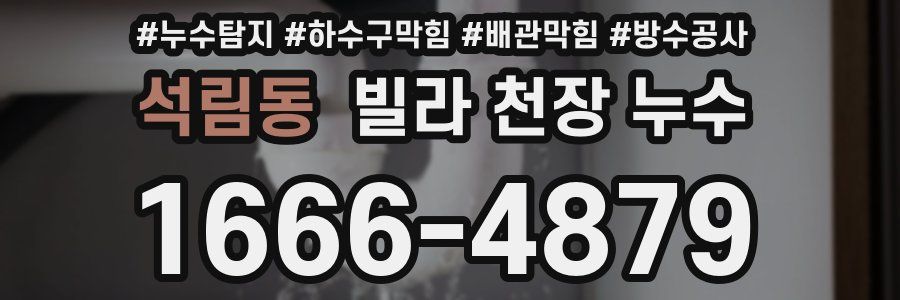 석림동 빌라 천장 누수