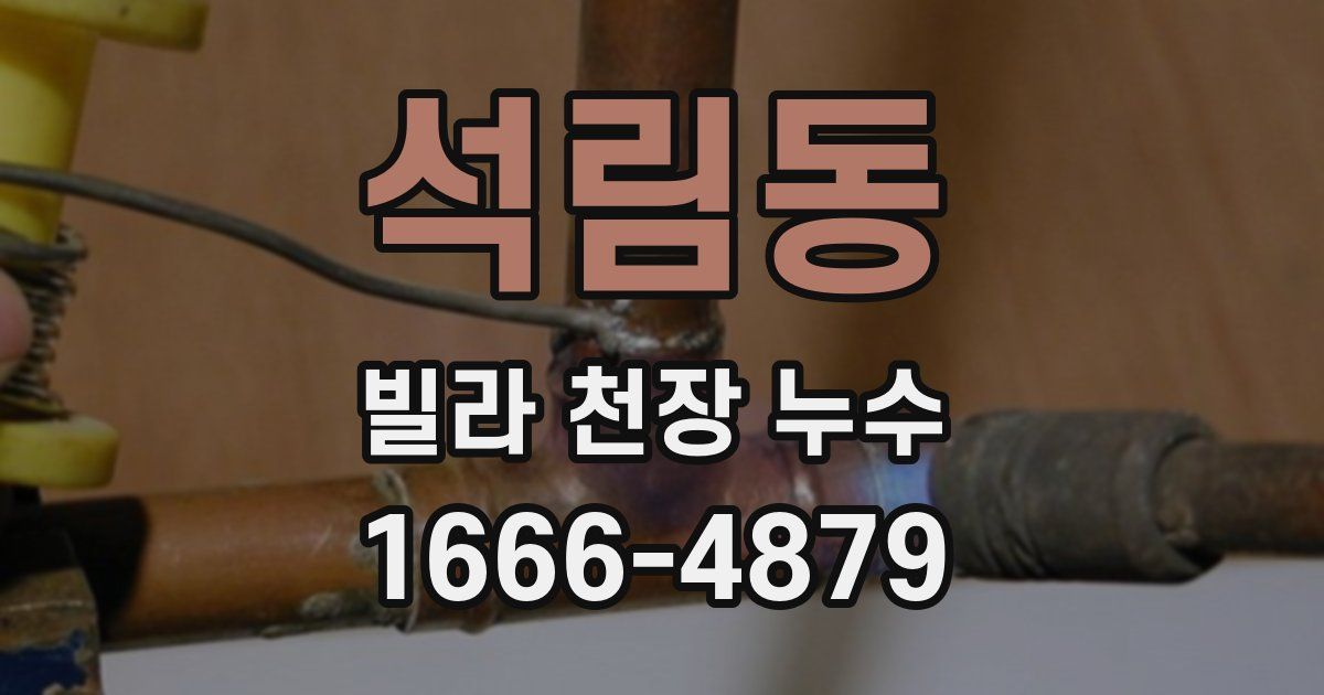 석림동 빌라 천장 누수