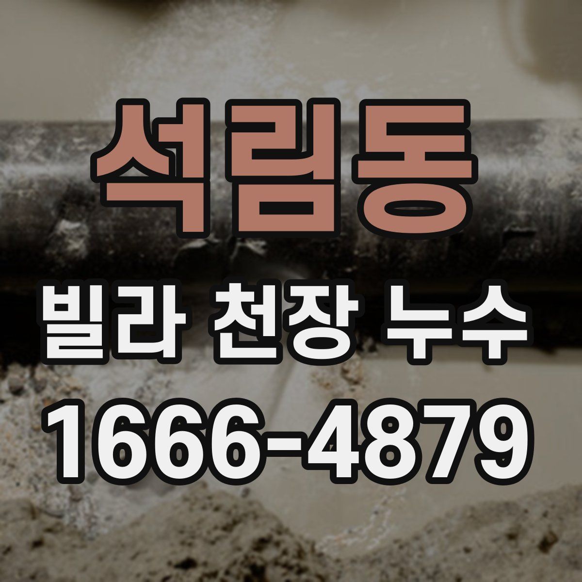 석림동 빌라 천장 누수