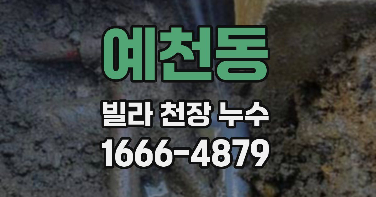 예천동 빌라 천장 누수