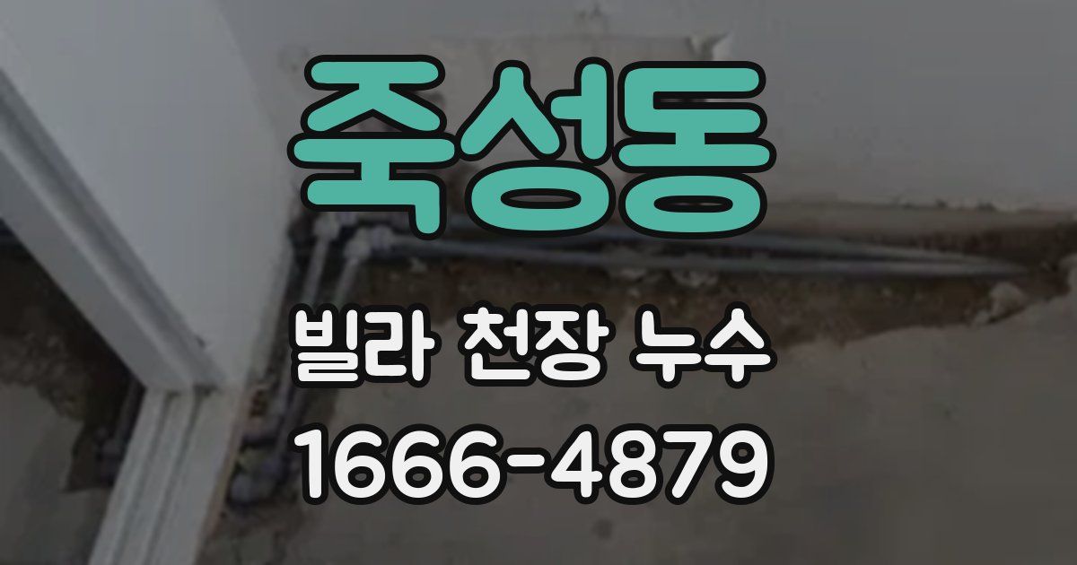 죽성동 빌라 천장 누수