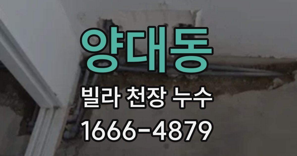 양대동 빌라 천장 누수
