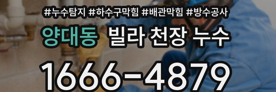 양대동 빌라 천장 누수