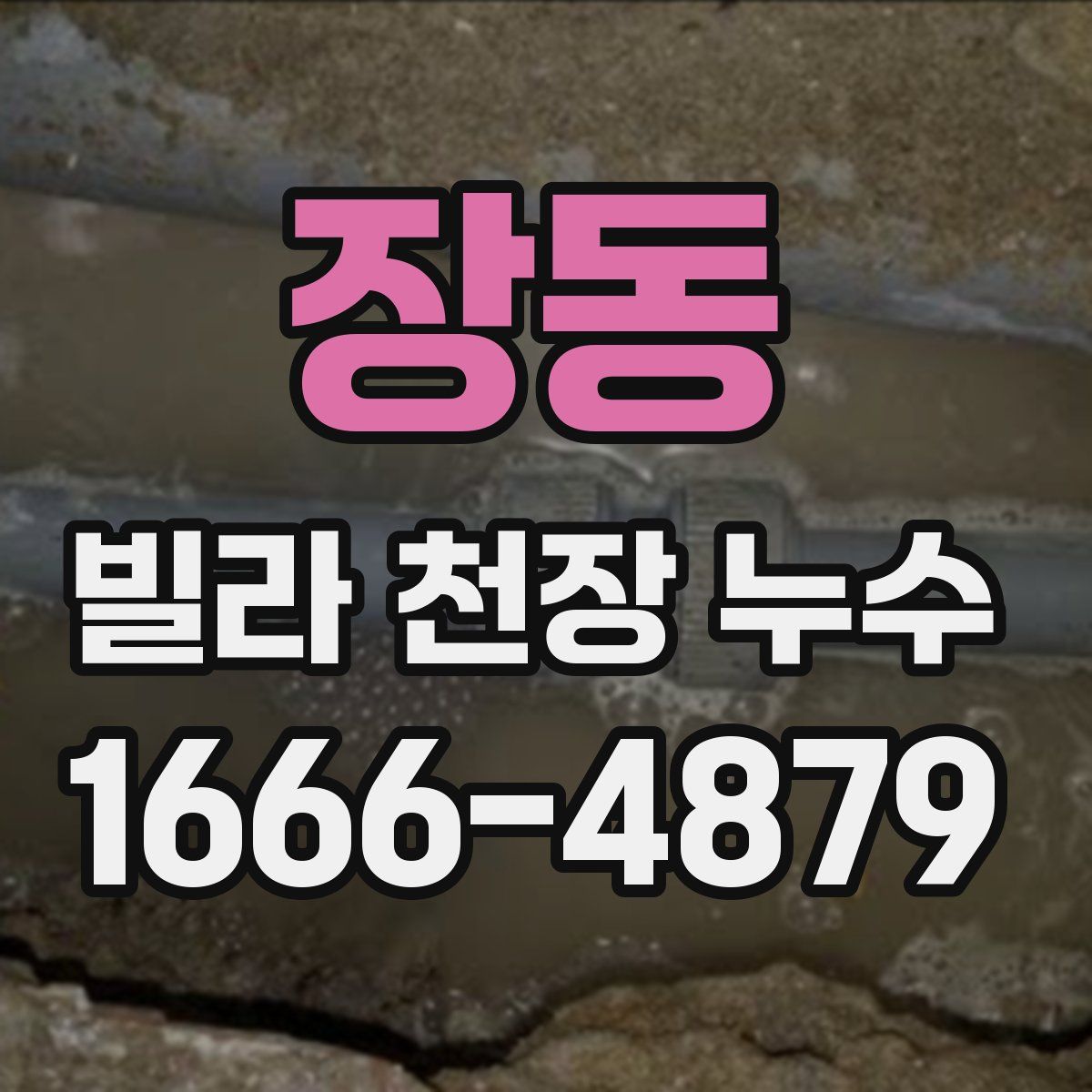 장동 빌라 천장 누수
