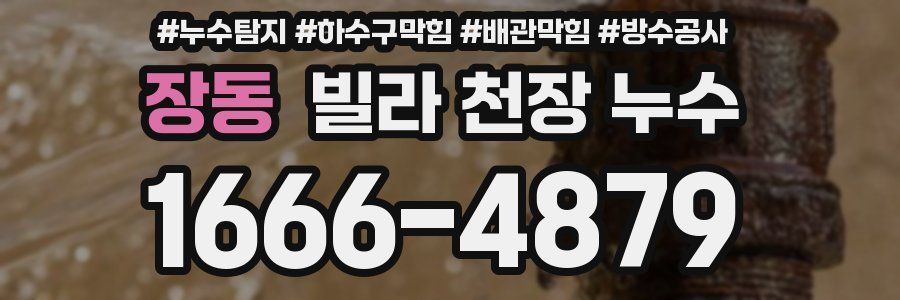 장동 빌라 천장 누수