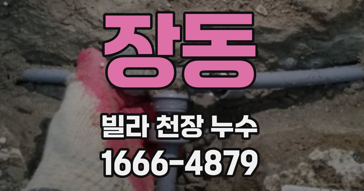장동 빌라 천장 누수