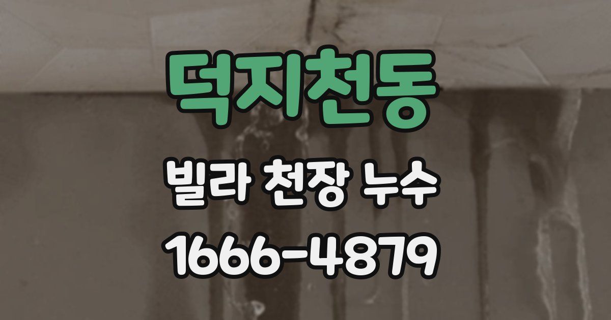 덕지천동 빌라 천장 누수
