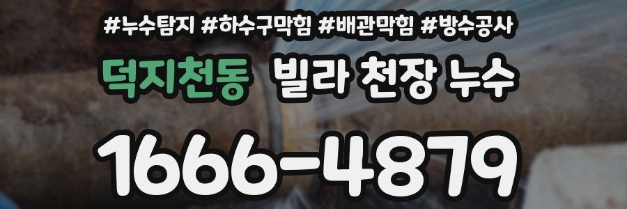 덕지천동 빌라 천장 누수