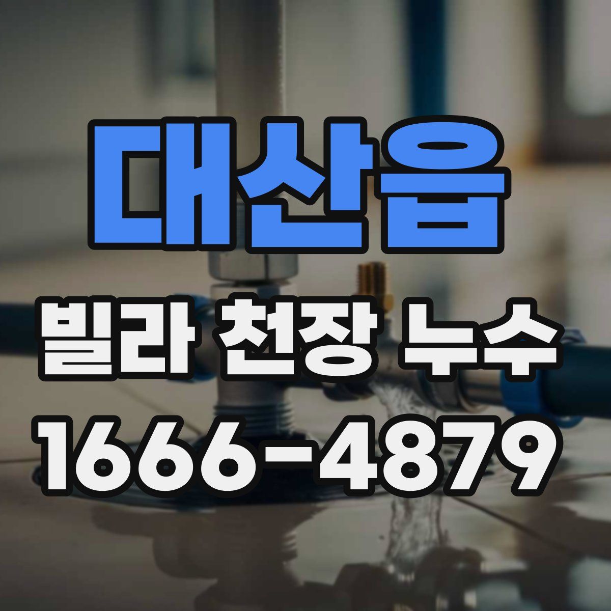 대산읍 빌라 천장 누수
