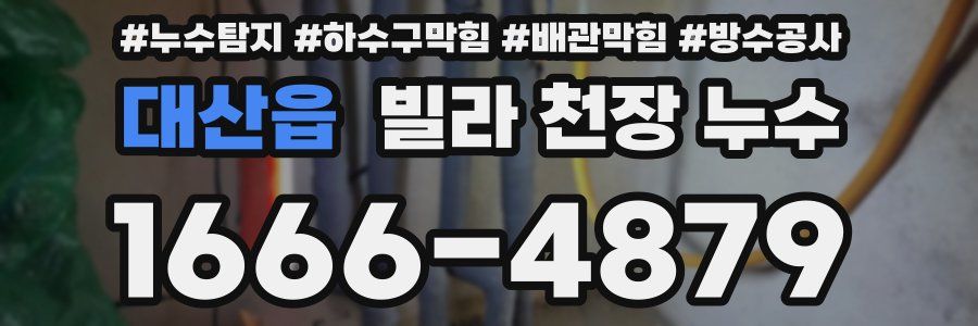 대산읍 빌라 천장 누수